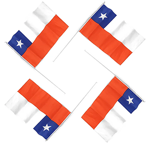 Bandera Chilena de Mano 