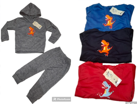 Conjunto buzo  niño delgado