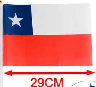 Bandera de Chile 20x29