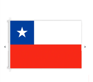 Bandera de Chile 38x27x20cm 12unidades
